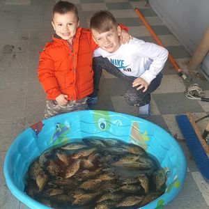 Meet your Posher, Terry